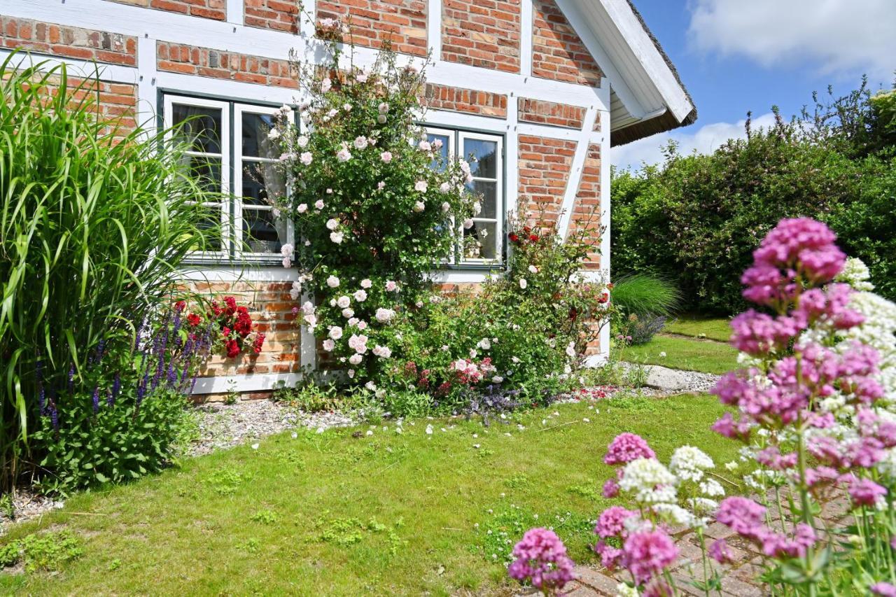 Landhaus Vilmnitz - Wohnung 7 Buitenkant foto